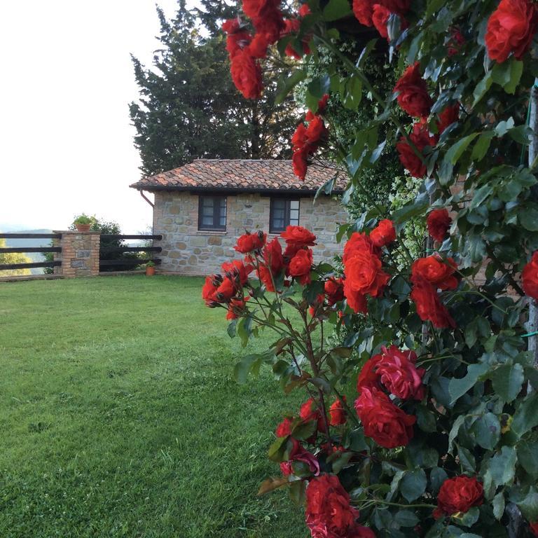 Agriturismo La Bicocca - Apt. "Il Leccio" Castel Rigone Kamer foto